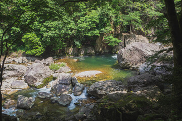 山奥の清流
