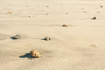 rocks on beach sand under the sun