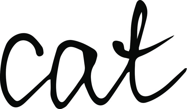 cat word vector hand drawn wriyyen calligraphy text black on white background write
