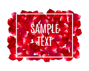 Rose Petals Border frame with text. Beauty and cosmetic background with flowers petals and place for your text. Vector illustration. EPS 10