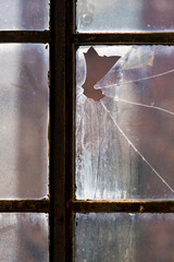 Glas Sprung Scheibe Fenster Fabrik Vintage Lost Place Raster Metall kaputt matt Fassade Wand Gebäude Licht Deutschland Industrie Kultur Geschichte Bauwerk Hintergrund Symbol Design Öffnung