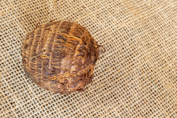Yam is the common name for plants of the genus Dioscorea