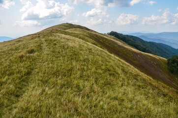 Grassy peak with hillside under clouds in summer warm day. Tyapesh mountain top in Carpathian, Ukraine.