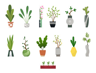 Collection of indoor house plants in pots. Home decorative and deciduous plants in a flat style. Set of elements for design house, room or office