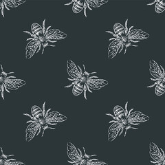 Fototapeta premium Bee seamless vector pattern. Hand drawn engraving style illustration. 
