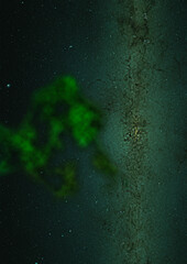 Star field in space and a nebulae. 3D rendering