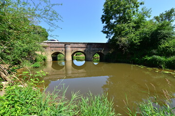 Fototapeta na wymiar Bridge on the Wey and Arun Canal