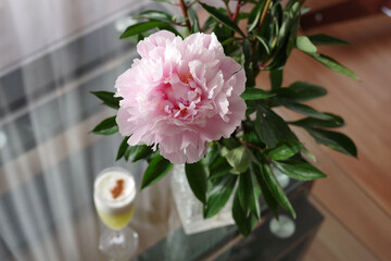 Bouquet de pivoines pour égayer le confinement