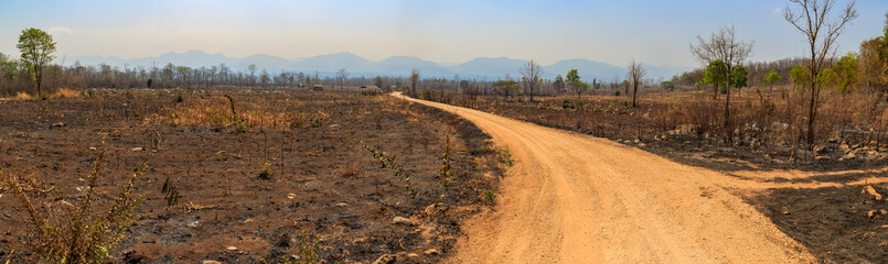The destruction of forests for shifting cultivation in Thailand. - obrazy, fototapety, plakaty