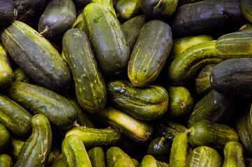 fresh cucumbers in market