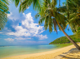 Paradise Sunny beach with palms and turquoise sea. Summer vacation and tropical beach concept.