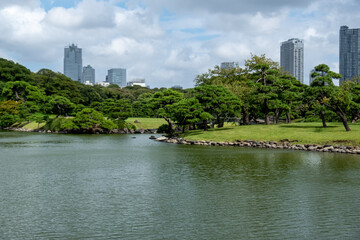 View across the Imperial Hunting Park, Tokyo, Japan