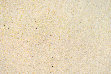 close up sand beach groud floor background for texture