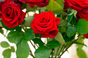 Bouquet of beautiful red roses in green vase on colorful background in cozy home, Valentines concept