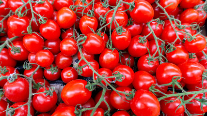 Vegetable background from cherry tomatoes on a branch with copy space. Ripe tomatoes lie beautifully on the counter of the supermarket. Growing organic tomatoes without сhemical fertilizer using.