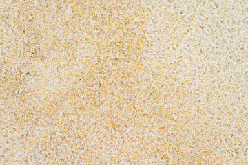 close up sand beach groud floor background for texture