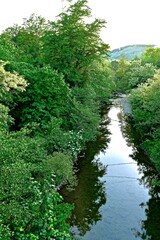 river with a rocky channel and green vegetation