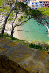 Obraz na płótnie Canvas Bright blue quiet water beach landscape with green trees in a coastal landscape in Begur, Catalonia