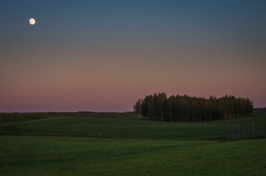 Moon At The Field