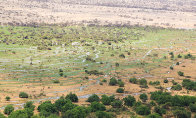 Fototapeta premium Aerial view of the Shompole conservancy area in the Great Rift Valley, near Lake Magadi, Kenya.