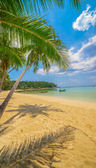 Beach on the tropical island. Clear blue water, sand and palm trees. Beautiful vacation spot, treatment and aquatics.