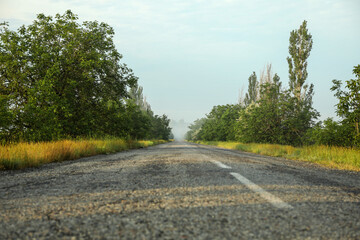 Fototapeta premium Foggy road. Beautiful summer morning. Summer nature