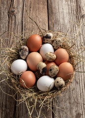 Hen and quail eggs in a basket