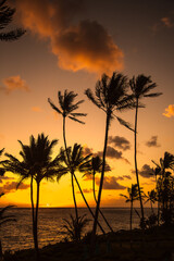 Fototapeta na wymiar Palm trees with a colorful sunrise at the village of Panalulu on the north shore of the island of Oahu in Hawaii.