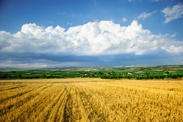 Photo of the natural landscape of Greece in summer