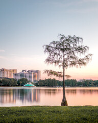 Sunrise at Lake Eola Park in Orlando
