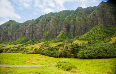 Fototapeta premium A meadow and the Koolau mountan Range on the north shoes of the island of Oahu near the village of Panaluu, Hawaii.
