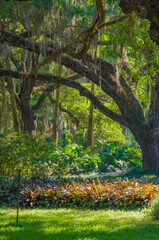 Florida Botanical Gardens, Washington Oaks State Park