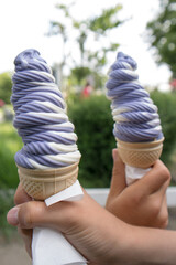 twisted ice creams - taste of summer