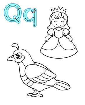 Printable coloring page for kindergarten and preschool. Card for study English. Vector coloring book alphabet. Letter Q. quail, queen