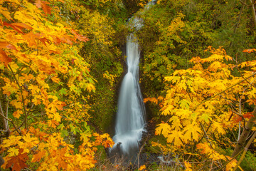 Fototapeta na wymiar Shapards Del Falls in the Columbia River Gorge National scenic Area, north central Oregon