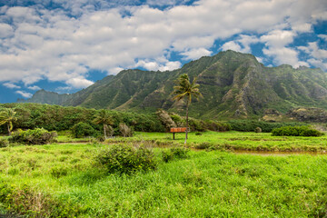 A meadow and the Koolau mountan Range on the north shore of the island of Oahu near the village of Panaluu, Hawaii. - obrazy, fototapety, plakaty