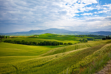 Tuscany landscape at sunrise. Typical for the region tuscan farm house, hills, vineyard. Italy