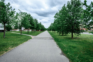 Fototapeta na wymiar Green tree alley, path for walking on the fresh air outside the city.