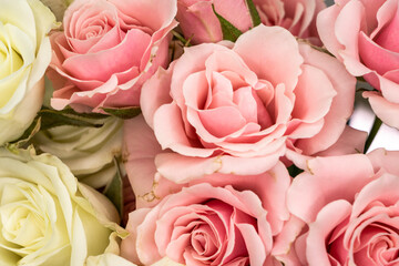 Pink and white roses bouquet closeup