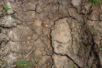 The concept of global warming. A desolate landscape cracked by drought