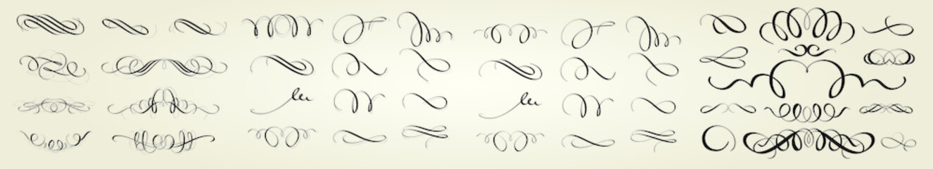 Collection of vector calligraphic flourishes