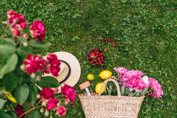 Wicker bag with peony flowers, straw hat, bowl of strawberries and cherries, glass bottle, lemons on green lawn grass, outdoor, Summer vacation, simple set for picnic. Spring vacation mood concept.