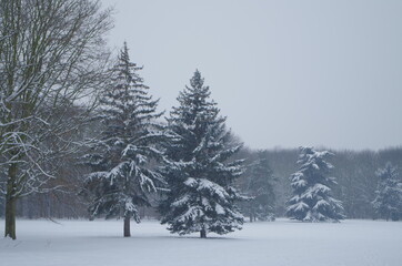 Parce de la courneuve