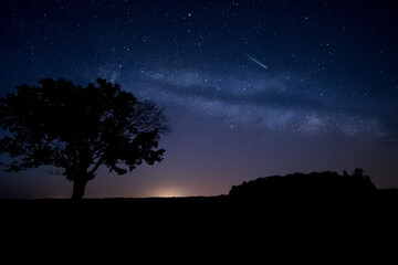Fototapeta na wymiar Wonderful milky way and shooting star in the dark sky. Silhouette of a tree in foreground.