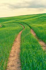 View from the hill on the summer landscape of Latvia