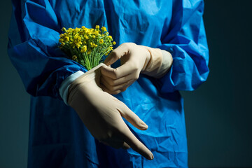 a doctor in a surgical suit from gloves grow yellow flowers. Medical concept. Yellow flowers are...