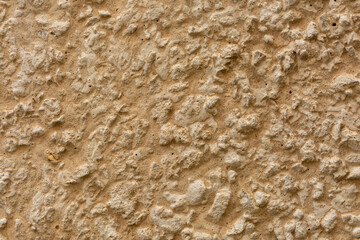The texture of the old cement wall, the background of stucco wall shabby light. Large rough plaster, copy space