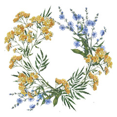 Hand drawn watercolor rural summer tansy and chicory wreath.