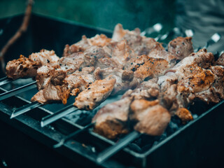 Pork meat on an open fire. B-B-Q. Shag on the barbecue. Cooking with coal. juicy ruddy kebabs on the grill. 