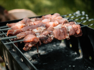 Pork meat on an open fire. B-B-Q. Shag on the barbecue. Cooking with coal. juicy ruddy kebabs on the grill. 